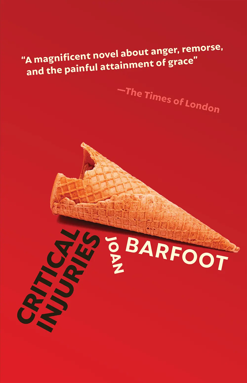 Critical Injuries book cover image