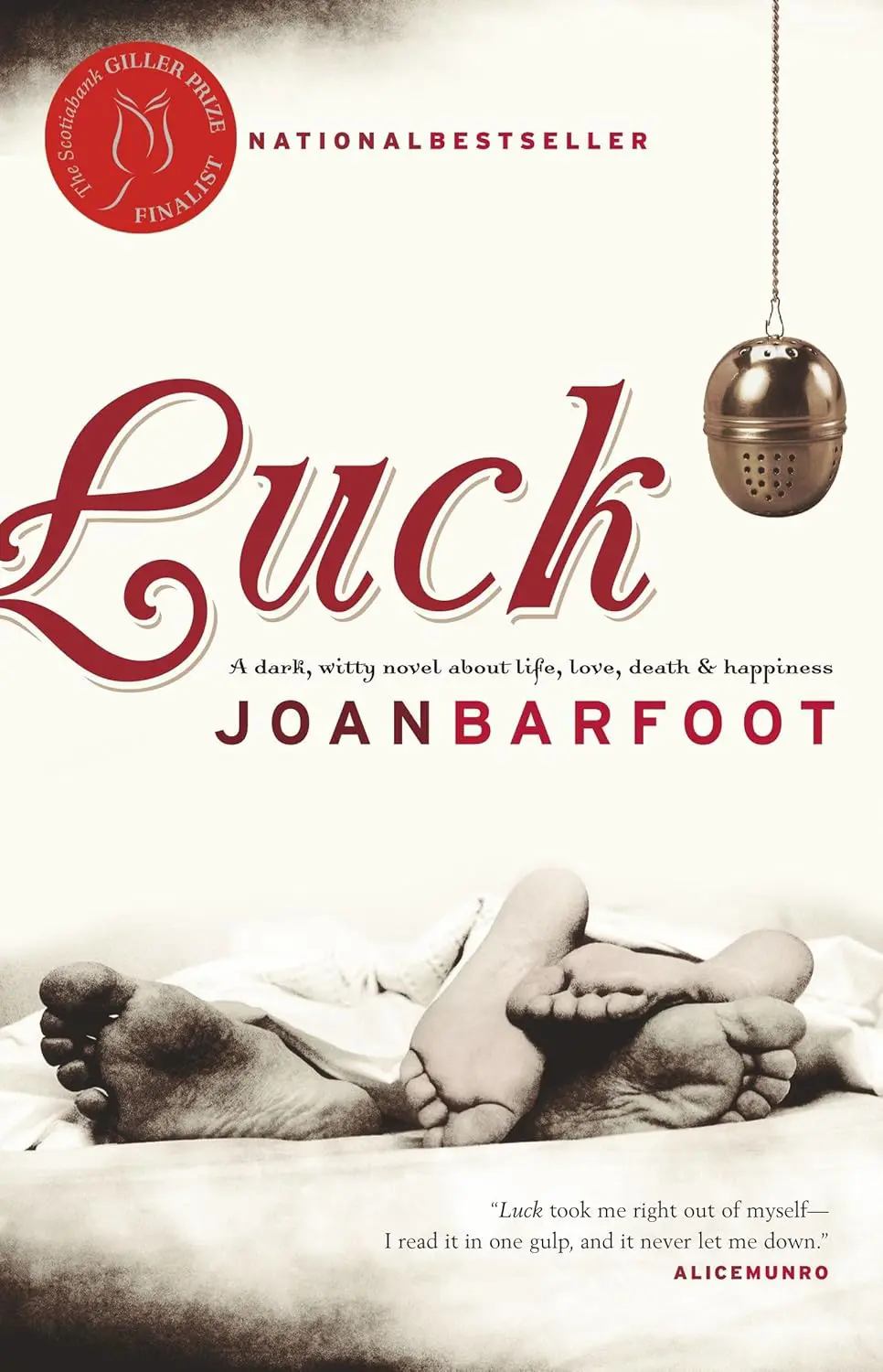 Luck book cover image