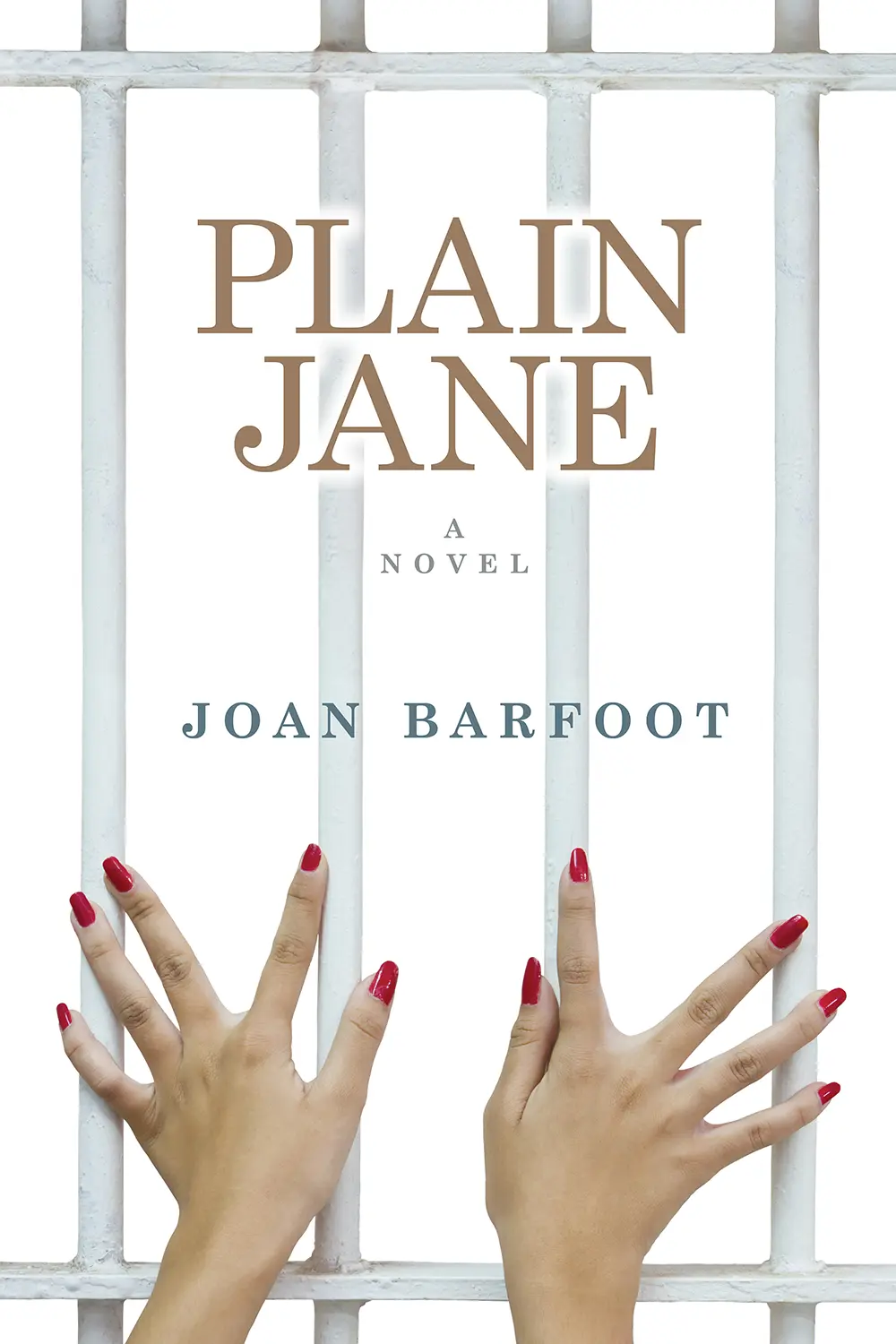 Plain Jane book cover image